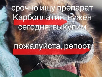 Карбоплатин