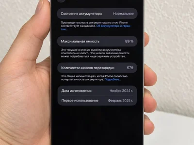 iPhone 15 Pro Max 256 gb Natural Titanium