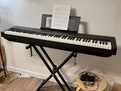Цифровое пианино Yamaha P 45 . Оригинал. В хорошем состоянии. Все клавиши и кнопки работают исправно. Звучит хорошо. Инструмент имеет полноразмерную динамическую взвешенную клавиатуру 88 клавиш с молоточковой механикой. Есть 10 тембров звучания, метроном. В комплект входит металлическая подставка под пианино, подставка для нот, педаль сустейна и блок питания.