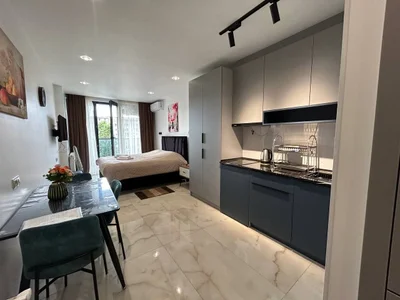Долгосрочная аренда студии на Sh. Inasaridze St. 21 Khimshiashvili District