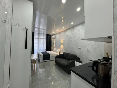 Студию, ул Шартава 16а, $400