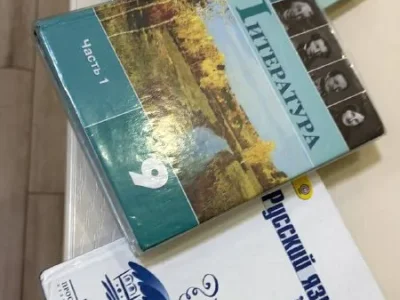 Учебники по русскому и литературе 9 класс