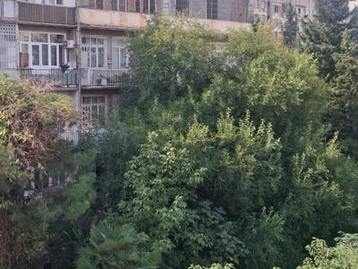 3-комнатная квартира в Тбилиси