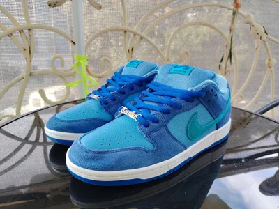 Nike SB Dunk Blue