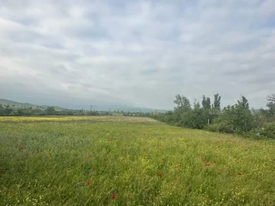 Land For Sale. Lilo