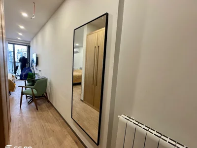 1-комн. квартира на ул. Тбел Абусеридзе, $450 до лета