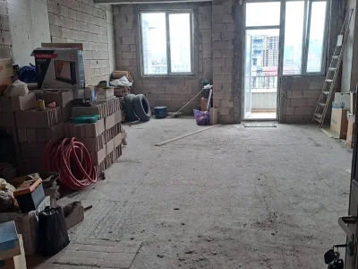 Дом мечты: 2 комнаты, 55,0 м²