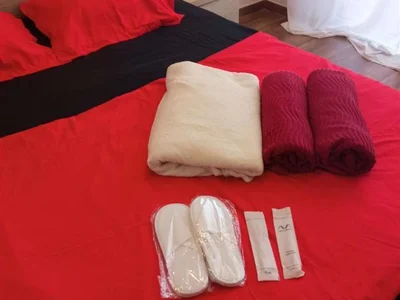1 room Flat Daily rent. Gldani