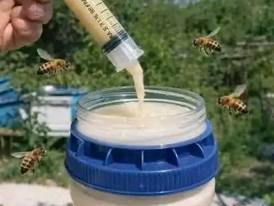 Мёд 2 кг + 1 кг в подарок