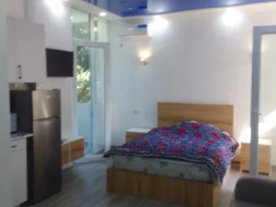 1 сдам / сдаётся студия в Махинджаури за $250!!
