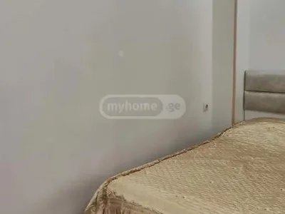 1+1 на З. Горгиладзе Ул. 183 Rustaveli District