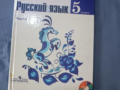 Русский язык 5 класс
