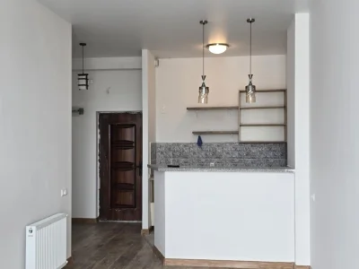 Ул. Вепхисткаосани, д. 6: Студия, 63,0 м²