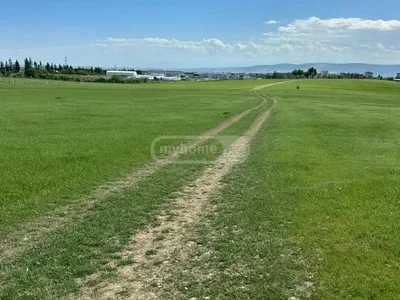 Земельный участок 9010 кв.м в Лило, для коммерции