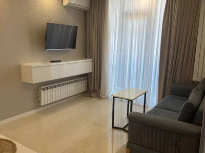 1+1 с отдельной кухней $650 на год