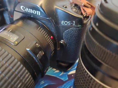 Объектив Canon EF 100mm f/2.8 Macro