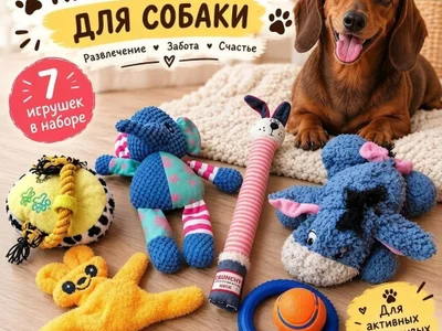 Набор игрушек для небольшой собаки