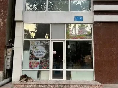Коммерческое помещение 65 кв.м на проспекте Церетели