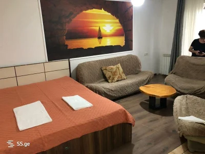 Пр. Пекина, 19: Студия, 35,0 м²