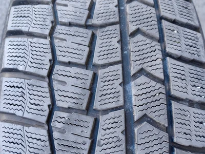 Комплект зимних шин Dunlop 225/55 R19