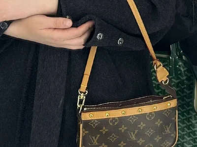 Сумки Louis Vuitton