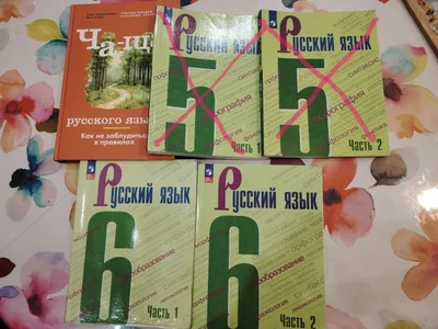 Учебная литература по русскому языку