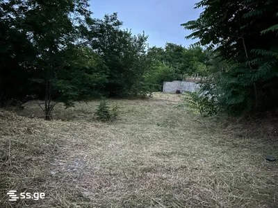Земля Продаётся. Вашлиджвари