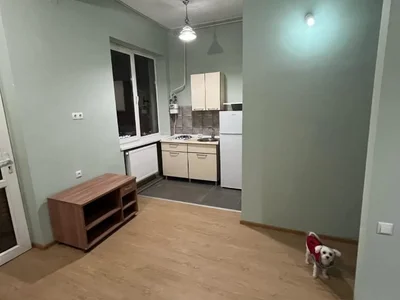 2 room Flat For Sale. Saburtalo