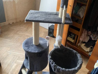 Большой кошкин дом