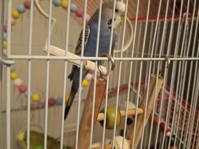 Двое