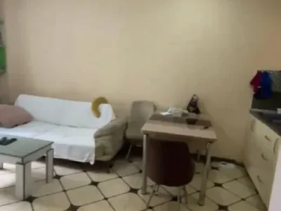 1+1 с котом, $400