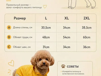 Дождевик для собаки размер 2XL