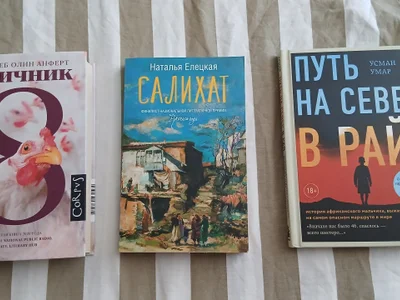 Набор книг: Птичник, Салихат и Путь на север в рай
