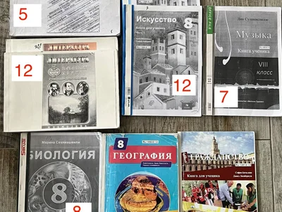 Учебник русской литературы (2 части)