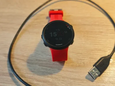 Спортивные часы Garmin Forerunner 45