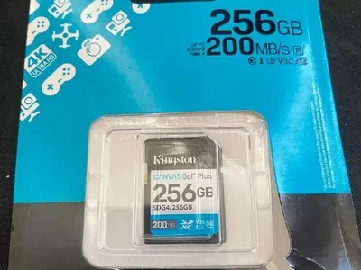 SD карта Kingston Canvas Go! Plus 256GB