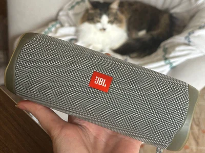 Беспроводная колонка JBL Flip 5