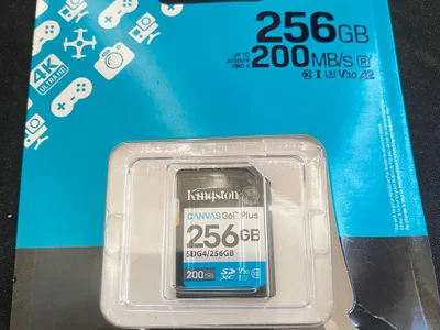 SD карта Kingston Canvas Go! Plus 256GB