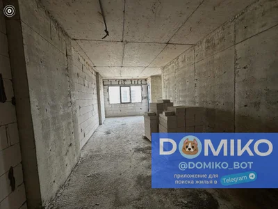 1+1 на Михаил Шарашидзе I Тупик 10 Kakhaberi District