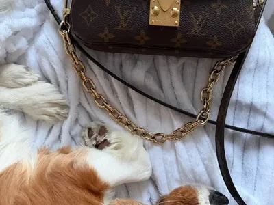 Сумка Louis Vuitton Pochette Métis East-West Monogram