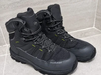 Зимние треккинговые ботинки Mammut Runbold Tour High II GTX Men