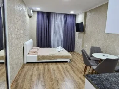 Студия с видом на Аллею Героев, $400