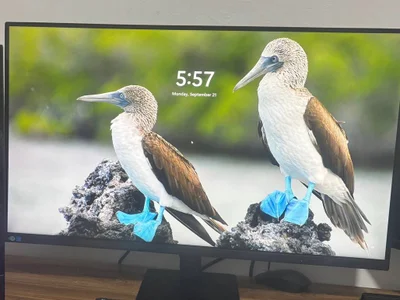 Монитор Samsung ViewFinity S7 32″ 4K