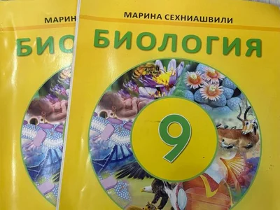 Физика 8 класс
