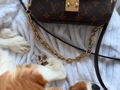 Сумка Louis Vuitton Pochette Métis East-West Monogram