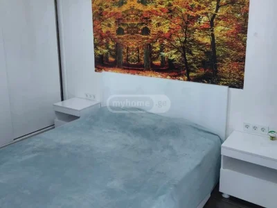 Двухкомнатная квартира в Химшиашвилиском районе