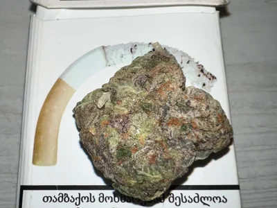 Мясной пирог