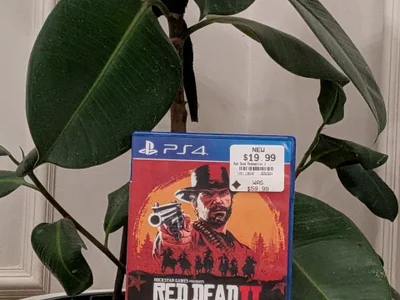 Read Dead Redemption 2