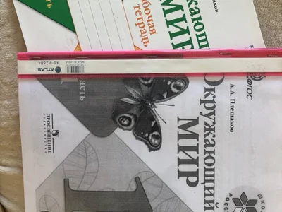 Тетрадь