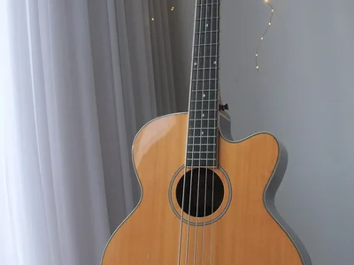Электро-акустический бас Harley Benton B35-NT